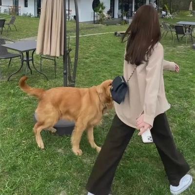 假装看不见之电影大师