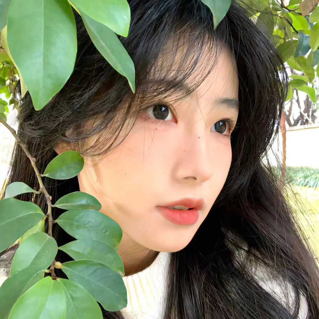 最美的安排